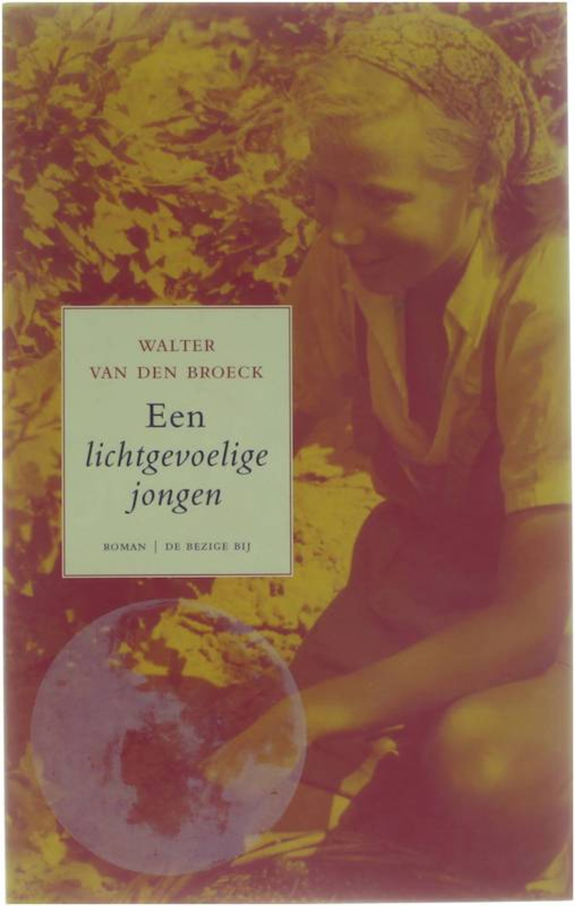 Een lichtgevoelige jongen - Walter van den Broeck