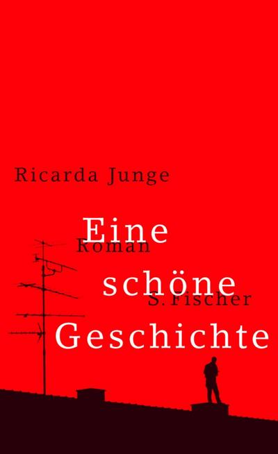 Eine schöne Geschichte : Roman - Ricarda Junge