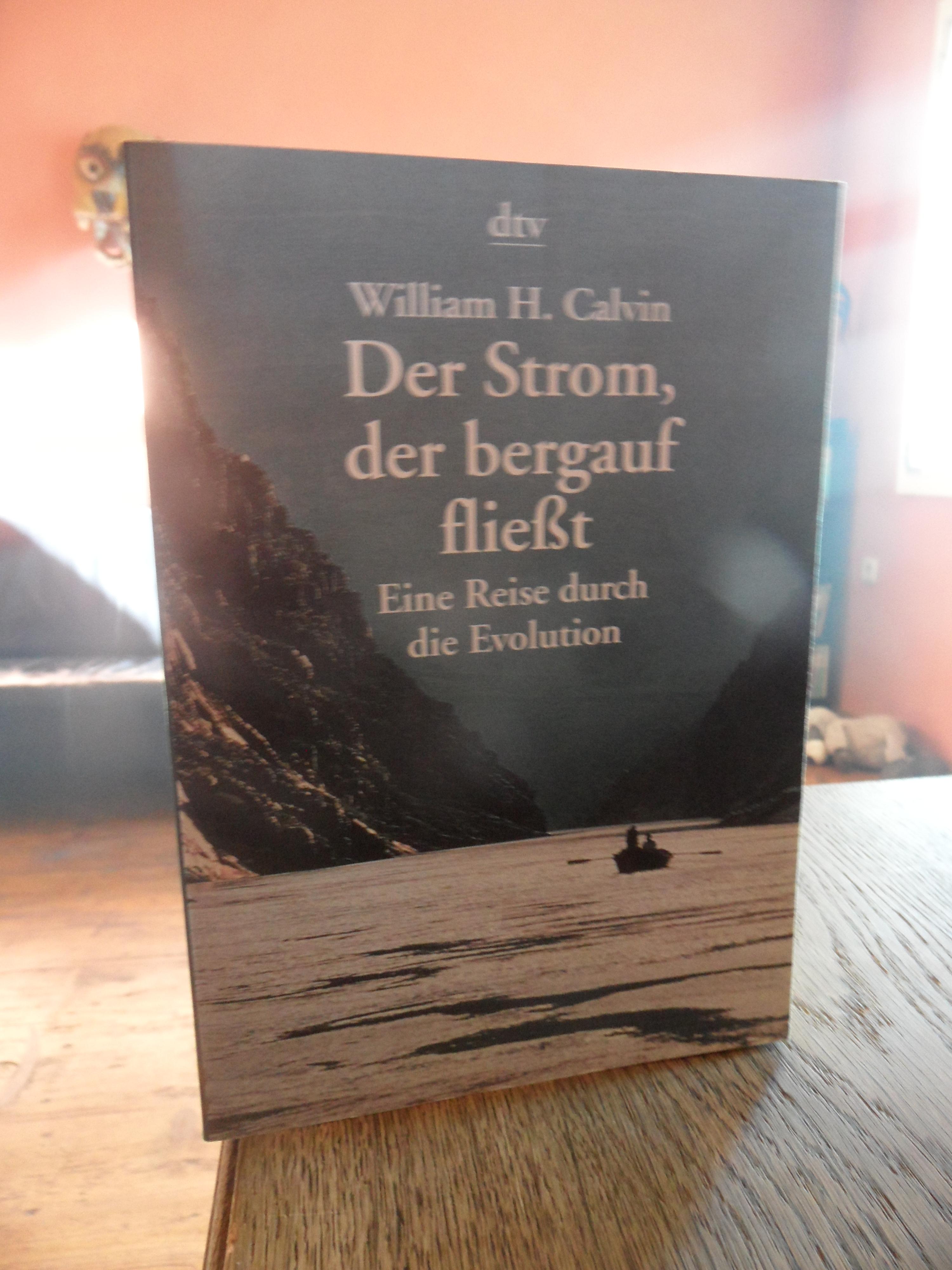 Der Strom, der bergauf fließt. Eine Reise durch die Evolution. - Calvin, William H.