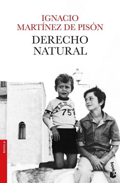 Derecho natural: Novela - Ignacio Martinez de Pison