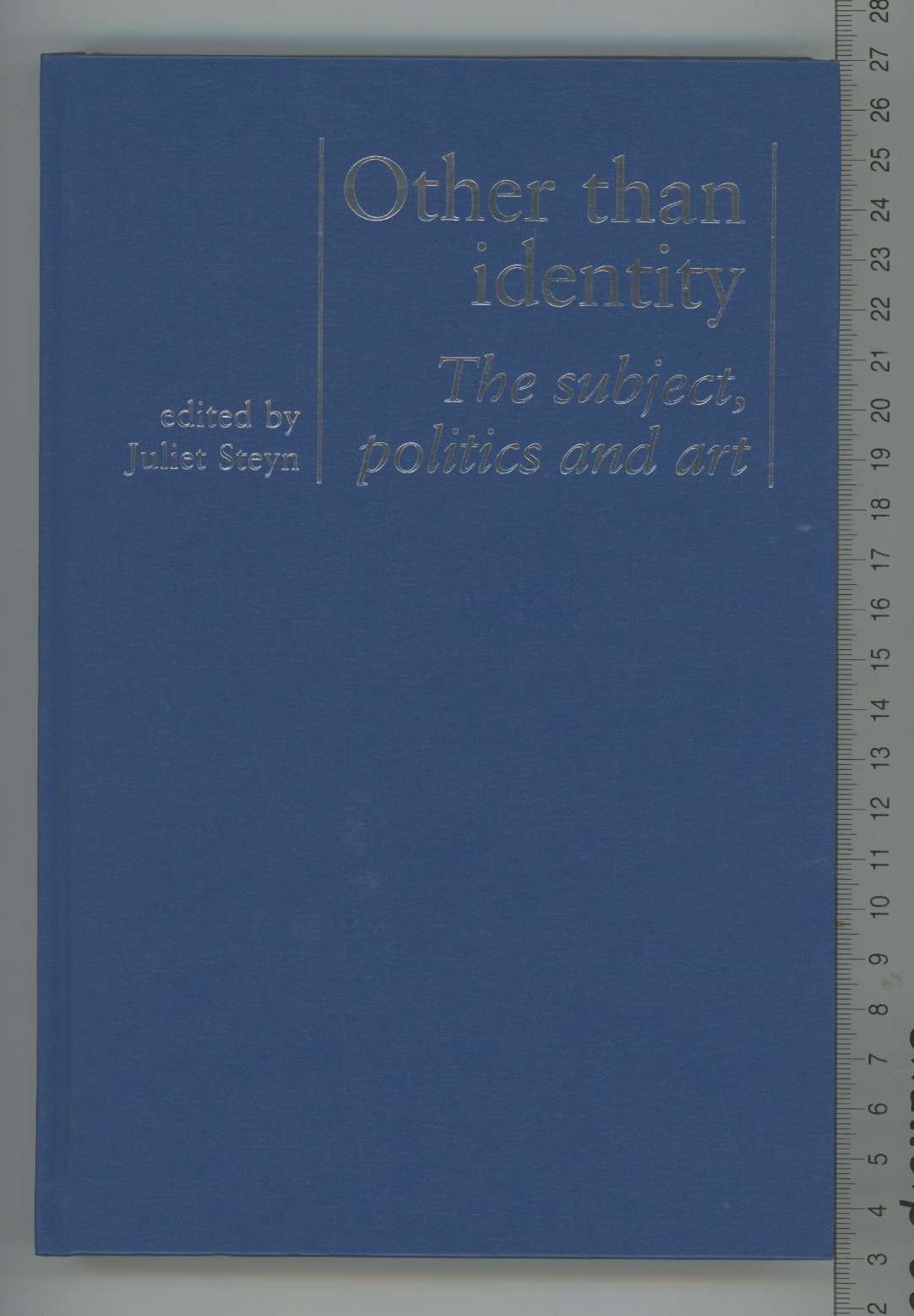 Other Than Identity: The Subject, Politics and Art - Steyn, Juliet (ed)