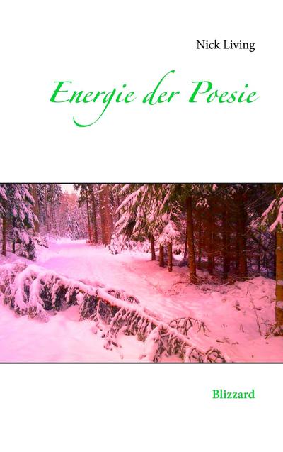 Energie der Poesie : Blizzard - Nick Living