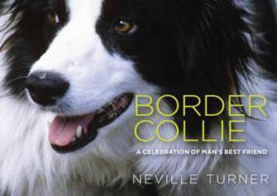 Border Collie - Neville Turner