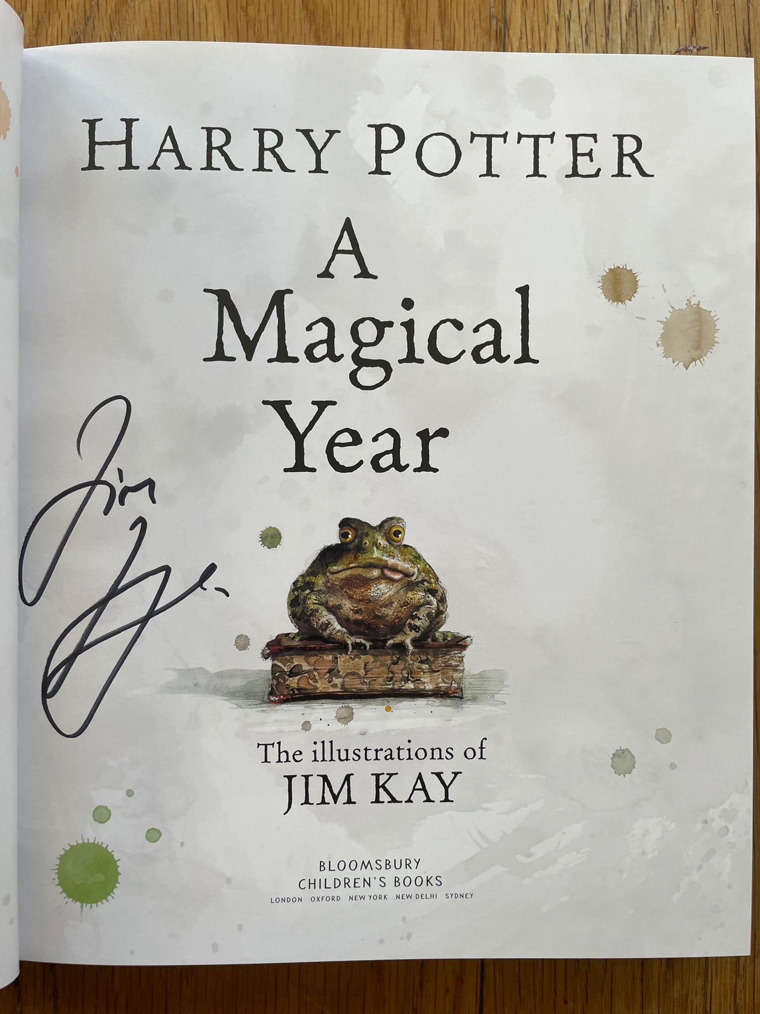 Signed　Rowling,　Potter:　The　Year:　Harry　Kay:　Rowling)　1st　Jim　A　by　Kay　Magical　New　Illustrations　Illustrator(s)　(2021)　Hardcover　of　by　Jim　Edition,　Setanta　Books