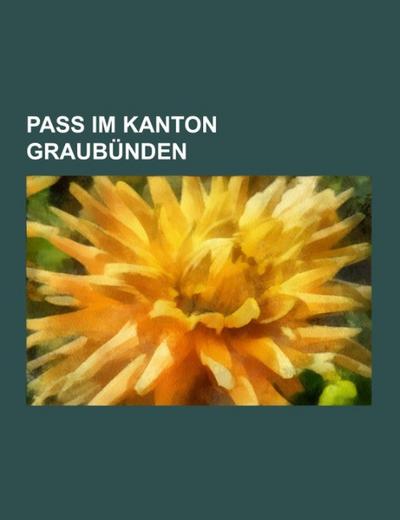 Pass im Kanton Graubünden : San-Bernardino-Pass, Malojapass, Julierpass, Berninapass, Septimer, Lenzerheide, Umbrailpass, Splügenpass, Lukmanierpass, Ofenpass, Oberalppass, Carmenna, Greina, Albulapass, St. Luzisteig, Wolfgang, Kunkelspass, Schlappiner Joch - Books LLC