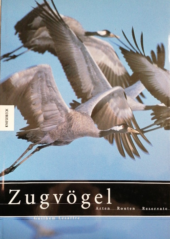Zugvögel - Lesaffre, Guilhem