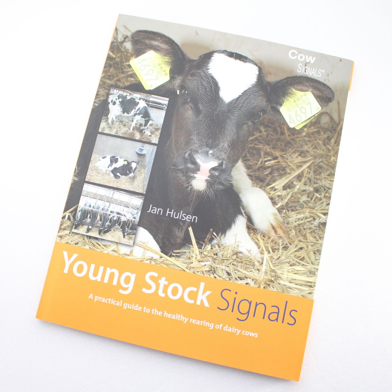 Young Stock Signals by Jan Hulsen - Jan Hulsen