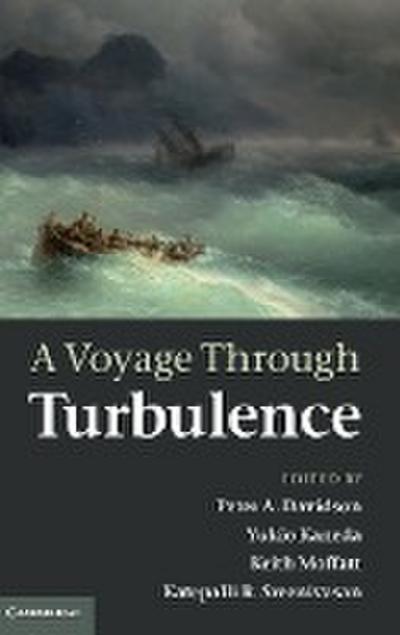 A Voyage Through Turbulence - Peter A. Davidson