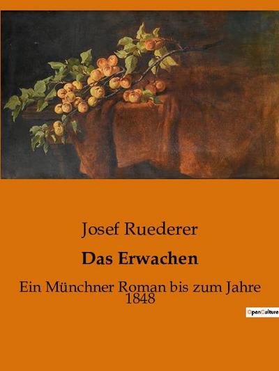 Das Erwachen : Ein Münchner Roman bis zum Jahre 1848 - Josef Ruederer