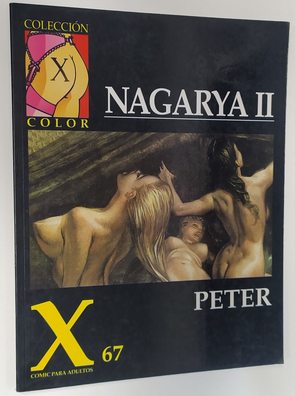 Nagarya II. - Riverstone, Peter / Campeny Valls, Anna Maria . tr.