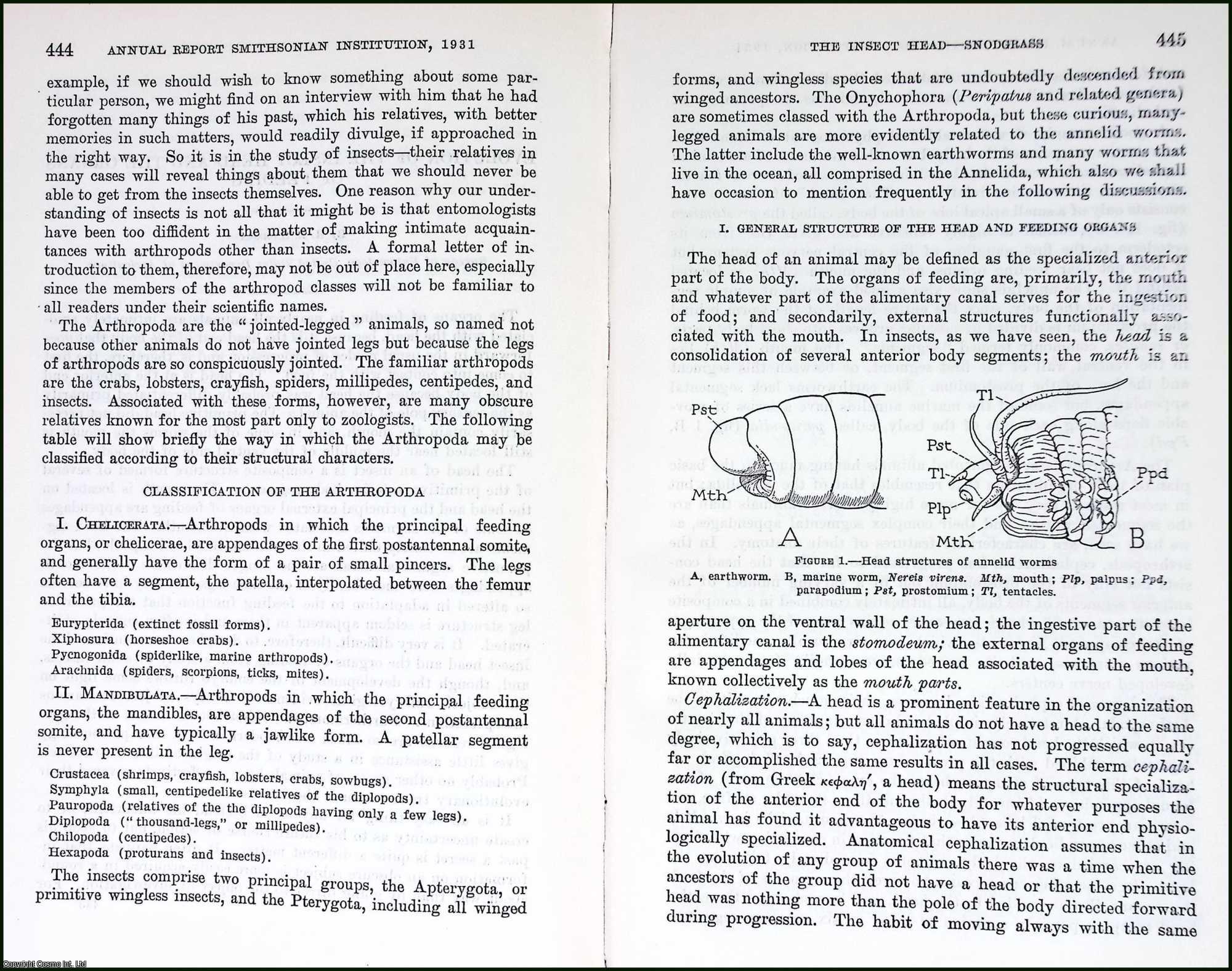 Evolution of The Insect Head and The Organs of Feeding. An original ...