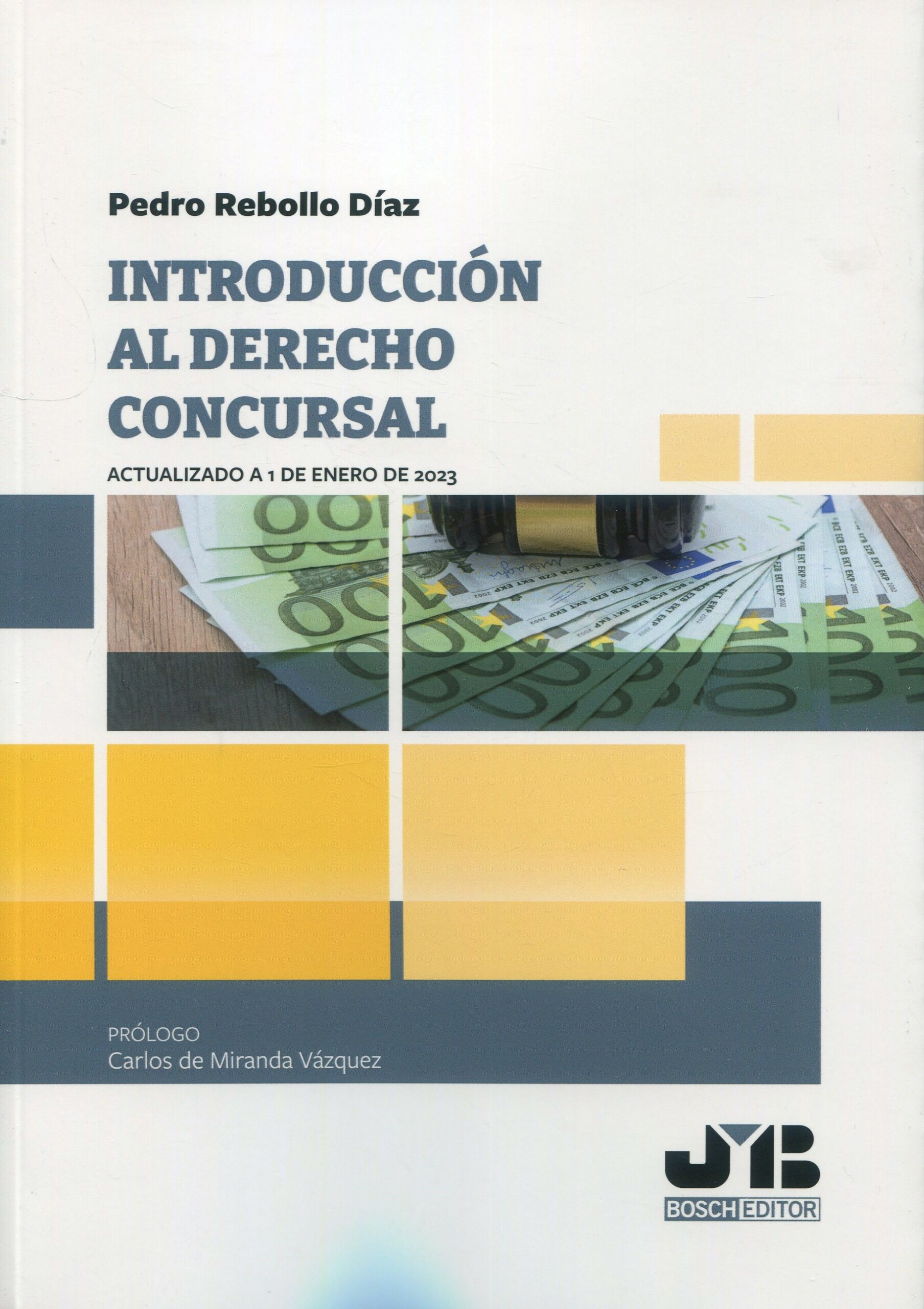 Introducción al derecho concursal - Pedro Rebollo Díaz