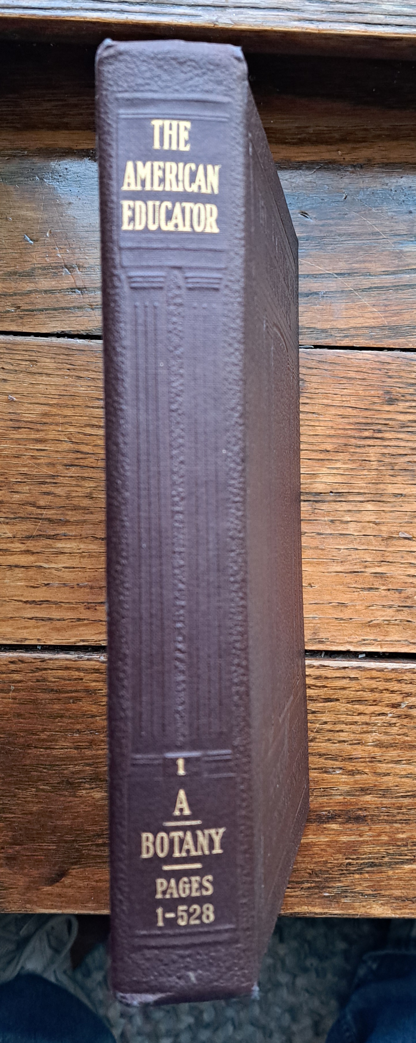 高級品市場 The American Educator Vol. 1 by Foster, Ellsworth D. editor 洋書