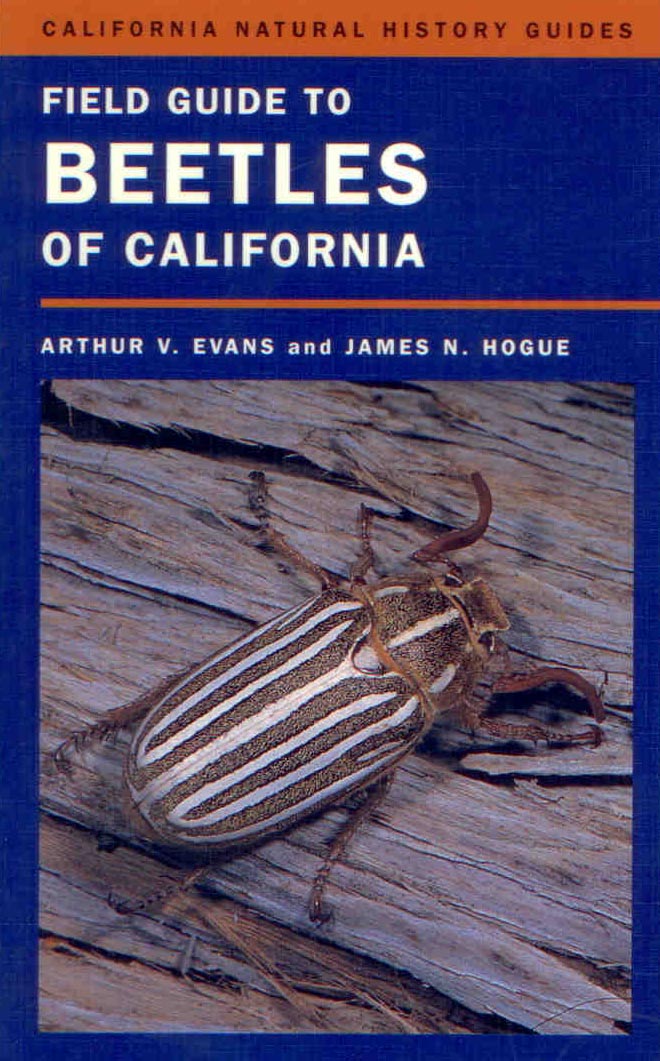 Field Guide to Beetles of California - Evans, A.V.; Hogue, J.N.