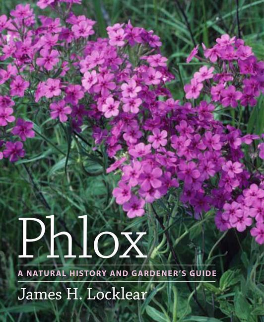 Phlox: A Natural History and Gardener\\ s Guid - Locklear, James H.