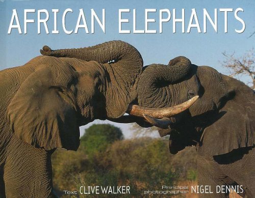 African Elephants - Walker, Clive,Dennis, Nigel