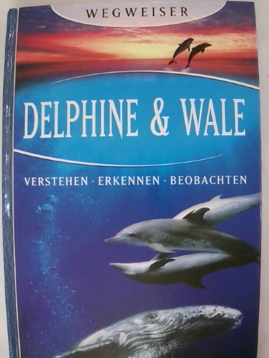 Delphine & Wale: Verstehen - Erkennen - Beobachten. - Peter Gill