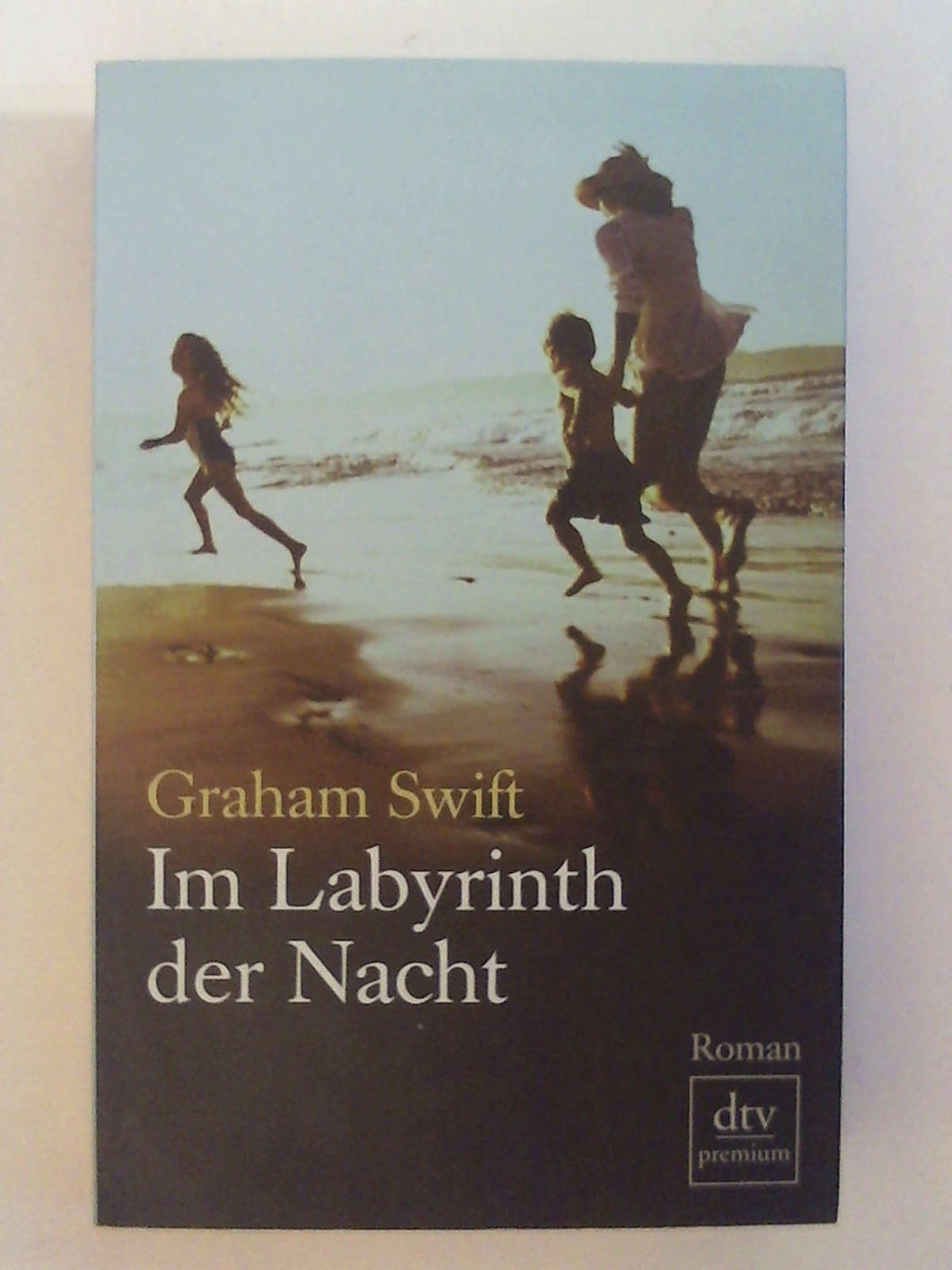 Im Labyrinth der Nacht: Roman (dtv Fortsetzungsnummer 0). - Graham Swift