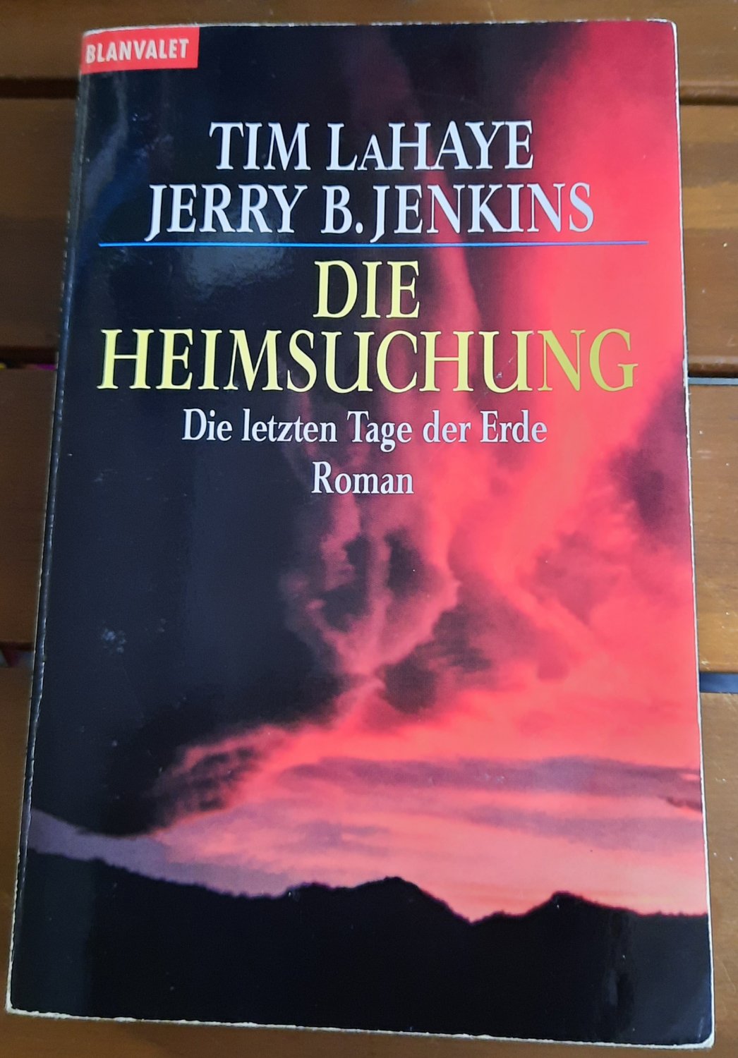 Die Heimsuchung. Die letzten Tage der Erde Bd. 2 - LaHaye, Tim; Jenkins, Jerry B.
