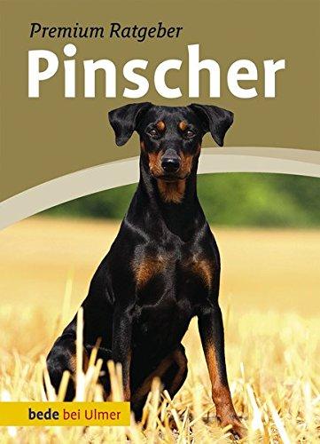 Pinscher: Deutscher Pinscher und Zwergpinscher - Schmitt, Annette