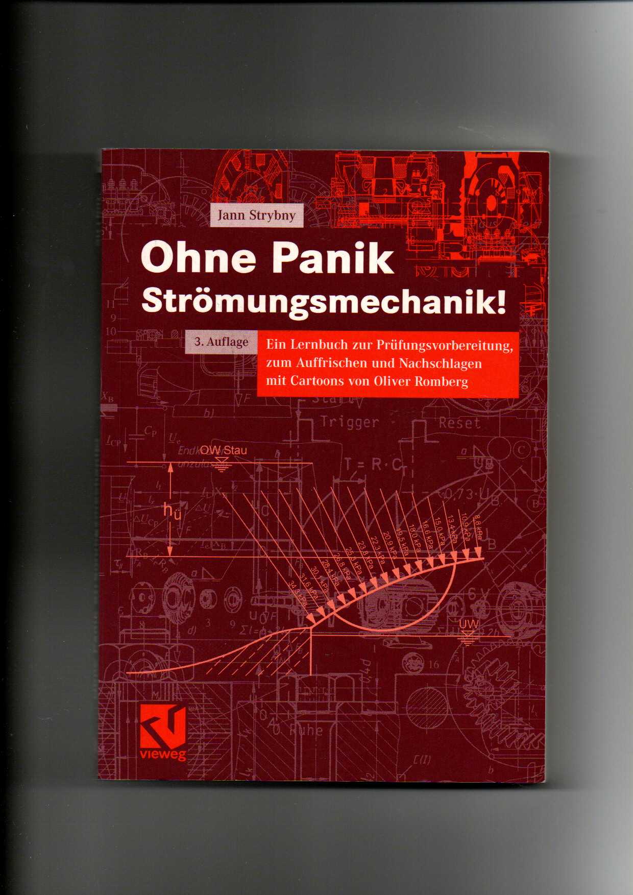 Jann Strybny, Ohne Panik Strömungsmechanik (2007) - Strybny, Jann und Oliver Romberg