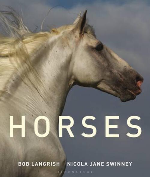 Horses (Hardcover) - Nicola Jane Swinney