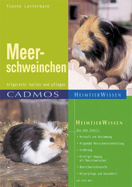 Meerschweinchen: Artgerecht halten und pflegen (Cadmos Heimtierwissen) - Lantermann, Yvonne