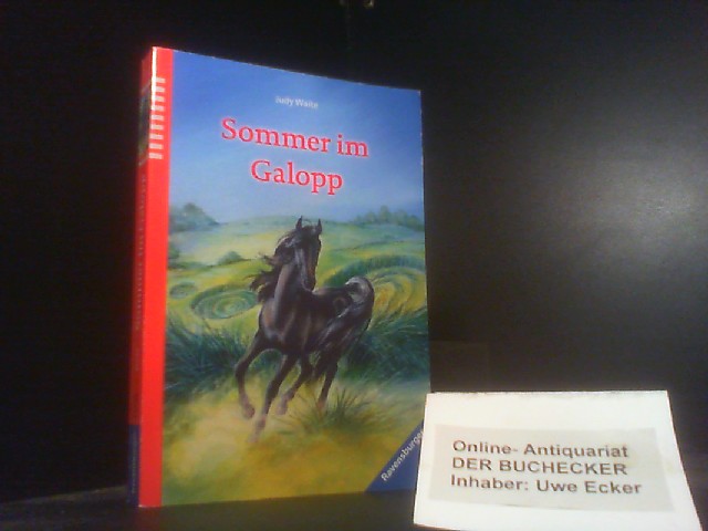 Sommer im Galopp. Judy Waite. Aus dem Engl. von Simone Wiemken / Ravensburger Taschenbuch ; Bd. 54345 - Waite, Judy