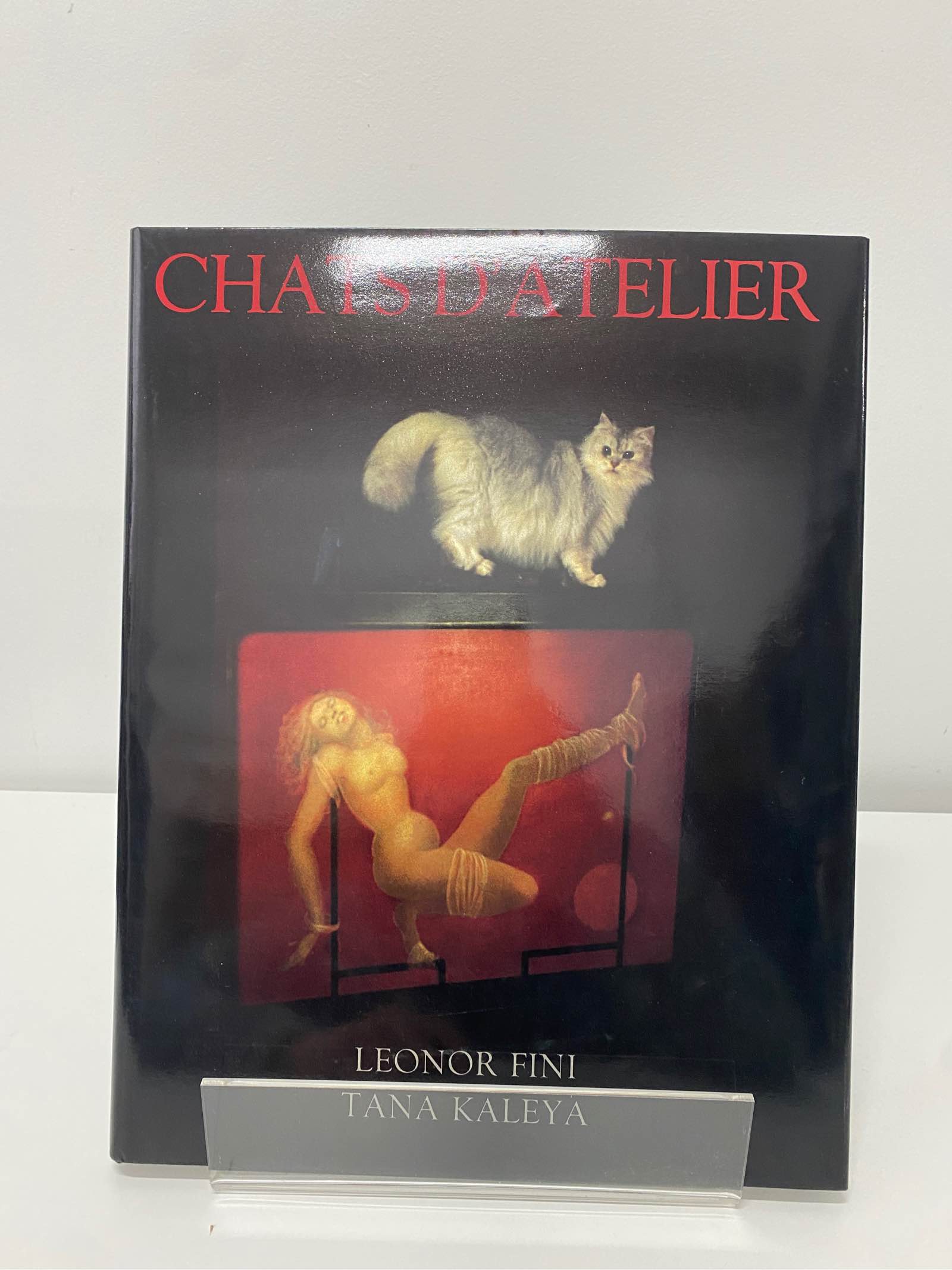 Chats d?atelier - Leonor Fini, Tana Kaleya