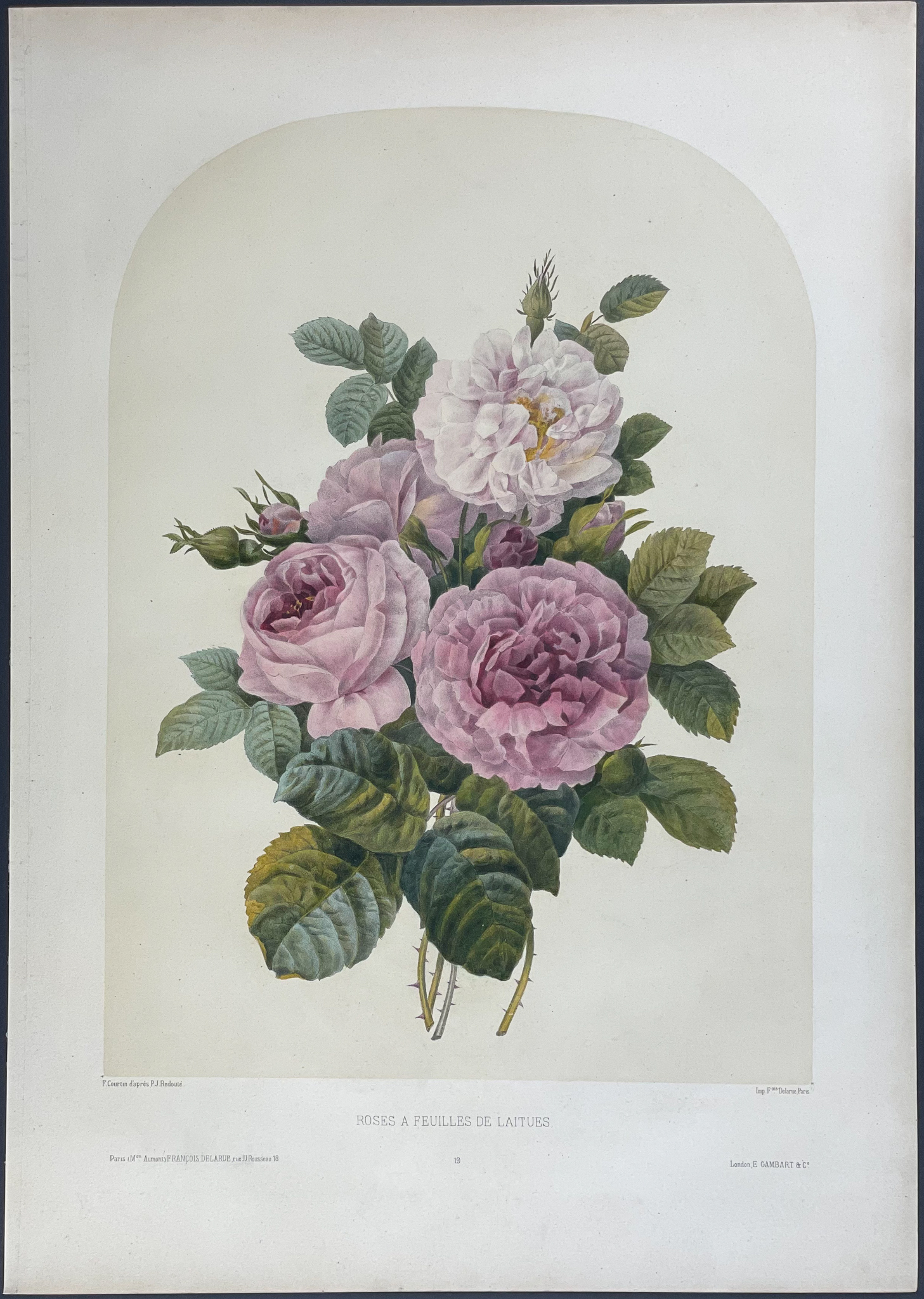 Floral Bouquet - Rose by Pierre-Joseph Redoute: (1850)  Art / Print / Poster