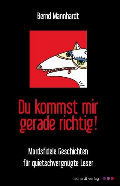Du kommst mir gerade richtig! : Mordsfidele Geschichten für quietschvergnügte Leser - Bernd Mannhardt