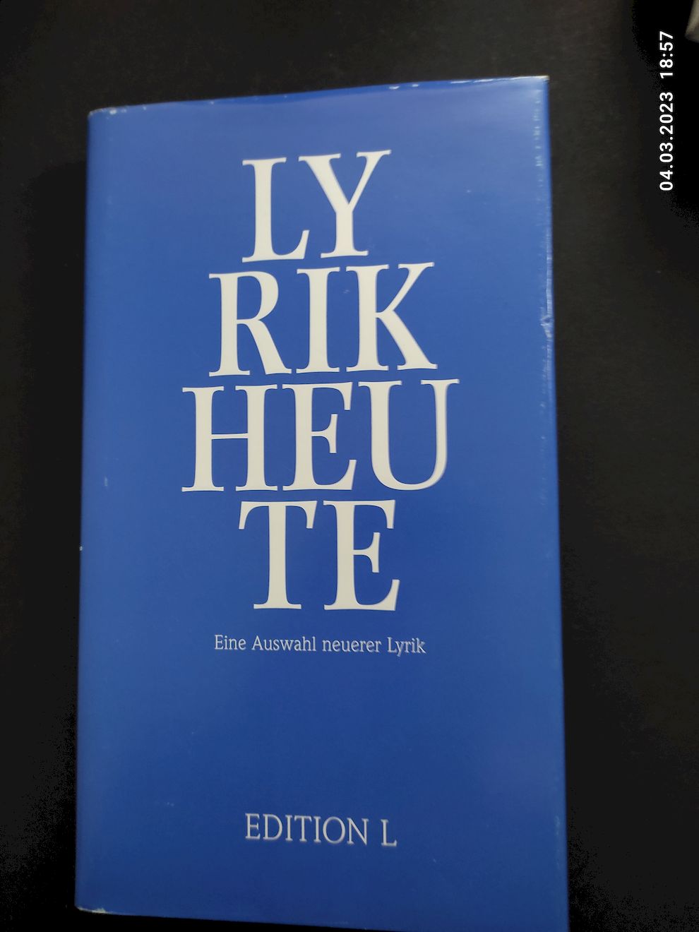 Lyrik heute: Eine Auswahl neuerer Lyrik - Theo Czernik (ed.)