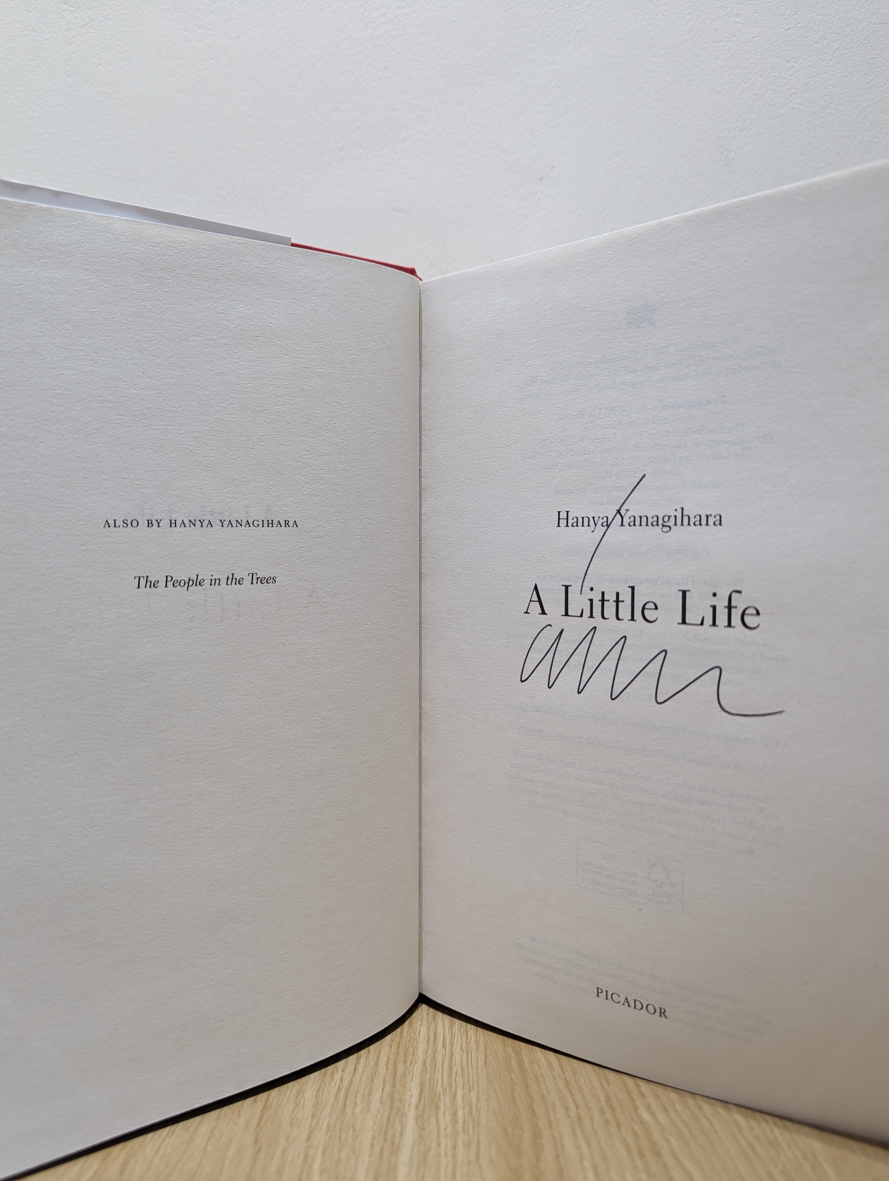 A Little Life - Hanya Yanagihara 2015 | 1st Edition | Rare First Edition  Books - Golden Age Children's Book Illustrations