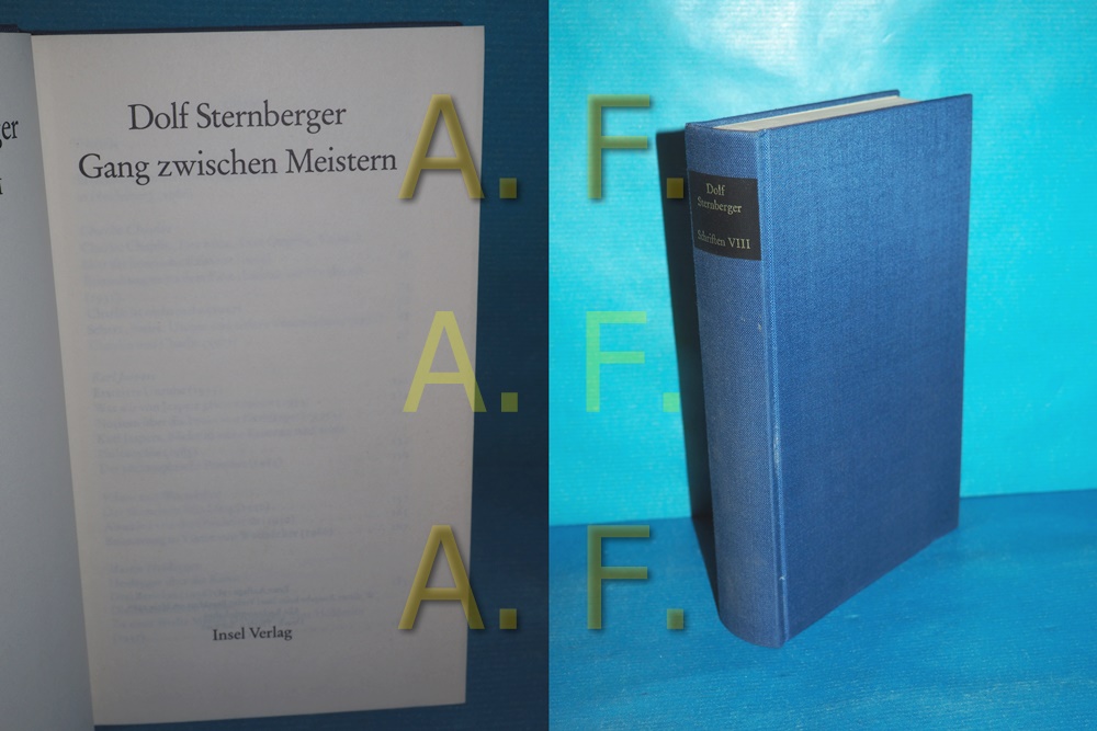 Gang zwischen Meistern (Schriften VIII (8) - Sternberger, Dolf