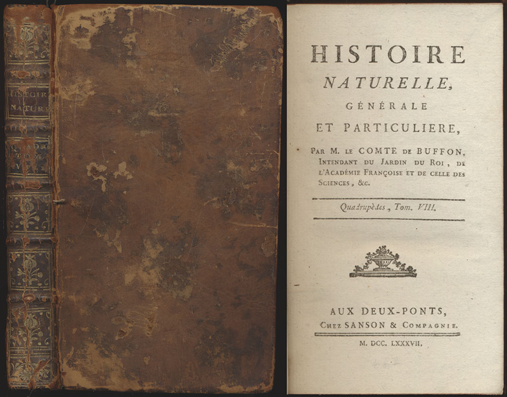 Histoire Naturelle, Générale Et Particulière. Quadrupèdes, Tome VIII. - Buffon, Georges Louis Leclerc