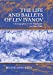 The Life and Ballets of Lev Ivanov: Choreographer of The Nutcracker and Swan Lake [Hardcover ] - Wiley, Roland John
