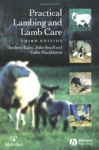 Practical Lambing and Lamb Care: A Veterinary Guide - Small, John, Macaldowie, Colin, Eales, Andrew