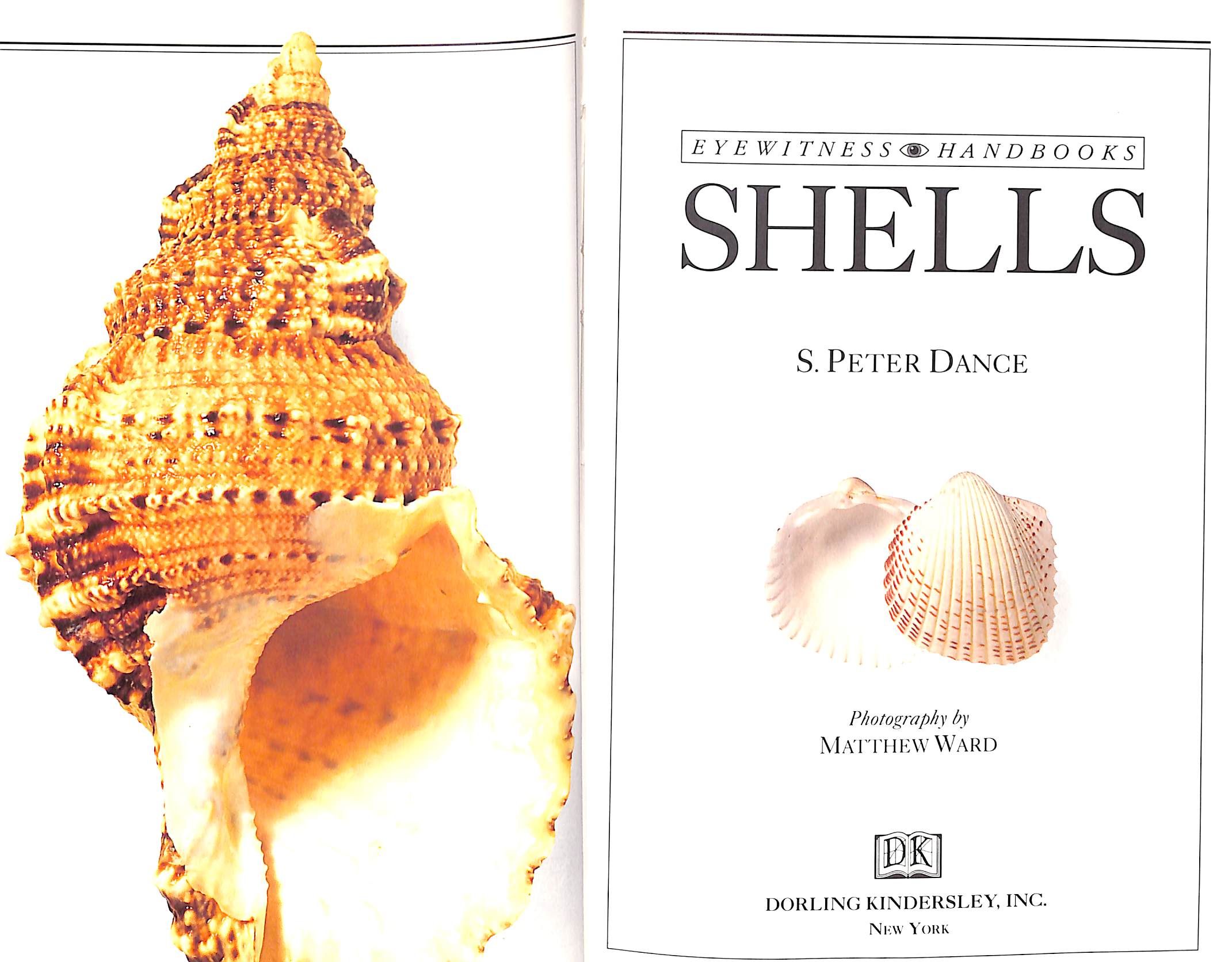 Shells: The Visual Guide To More Than 500 Species Of