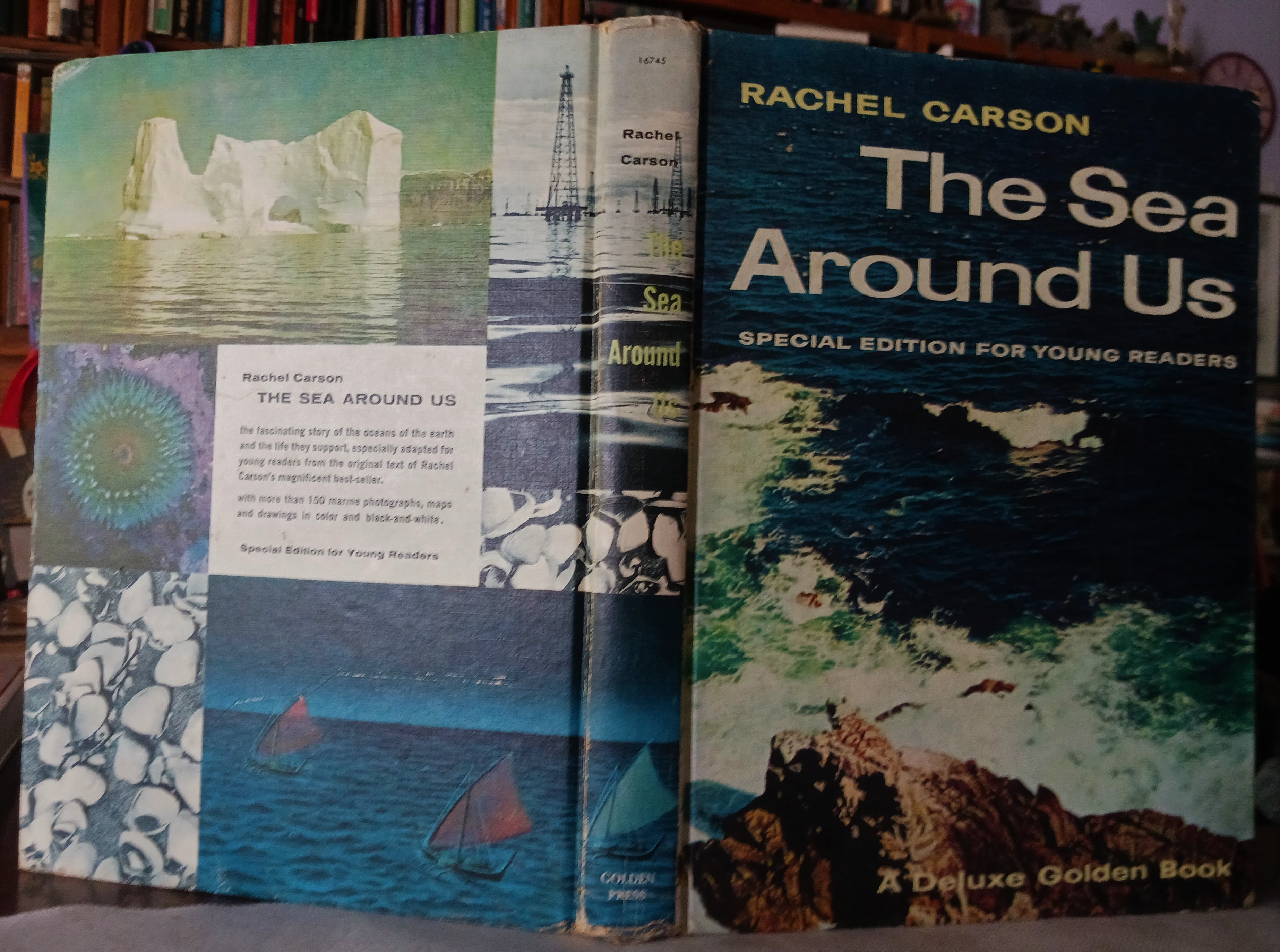 The Sea Around Us: A Special Edition for Young Readers by Carson