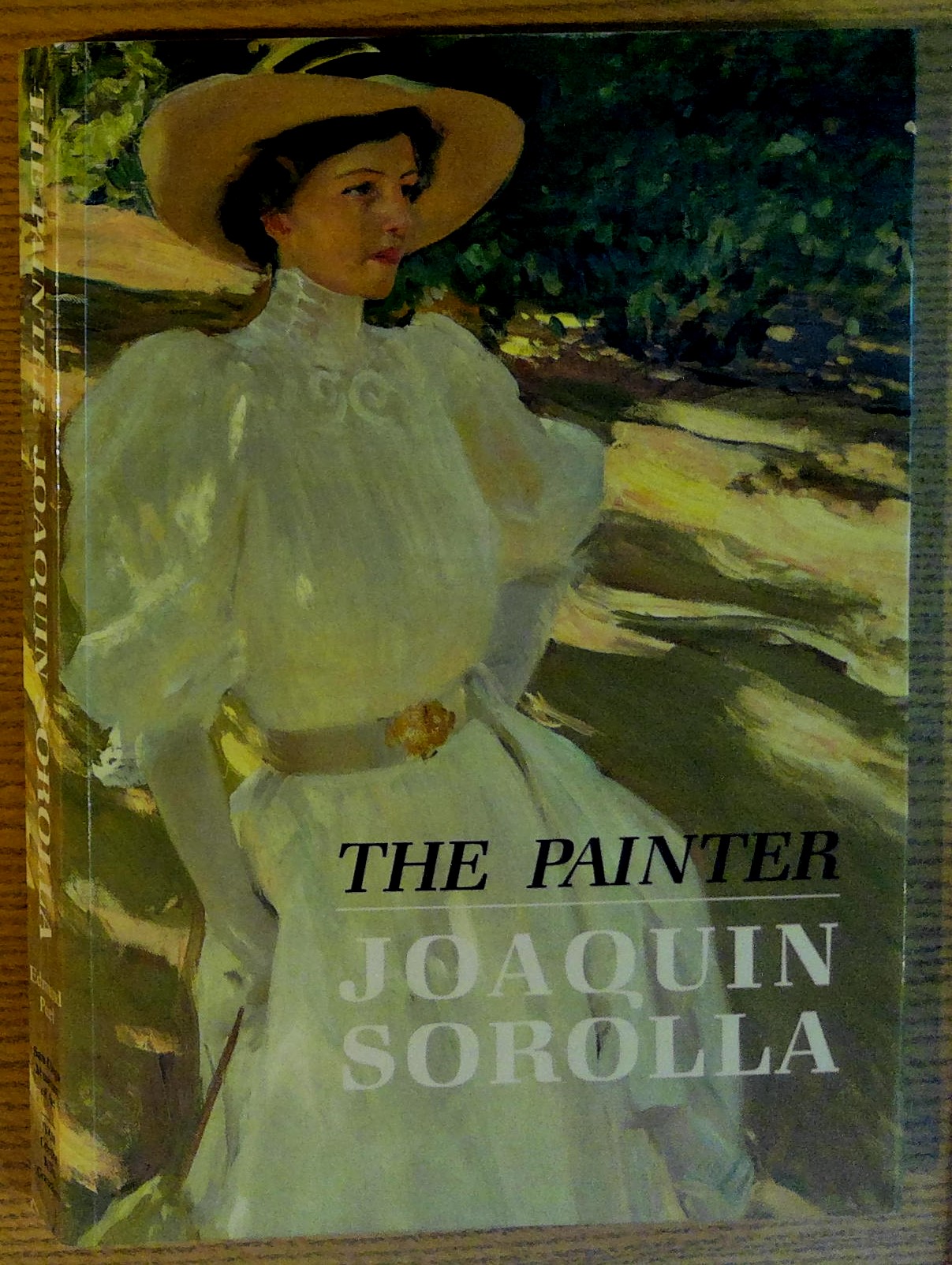 The Painter Joaquin Sorolla y Bastida - Peel, Edmund; Francisco Pons Sorolla; Carmen Gracia; Priscilla Muller