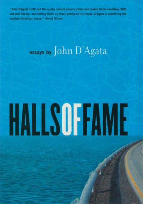 Halls of Fame: Essays (Hardcover) - John D'Agata