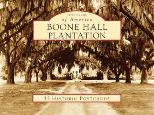 Boone Hall Plantation (Loose Leaf) - Michelle Adams