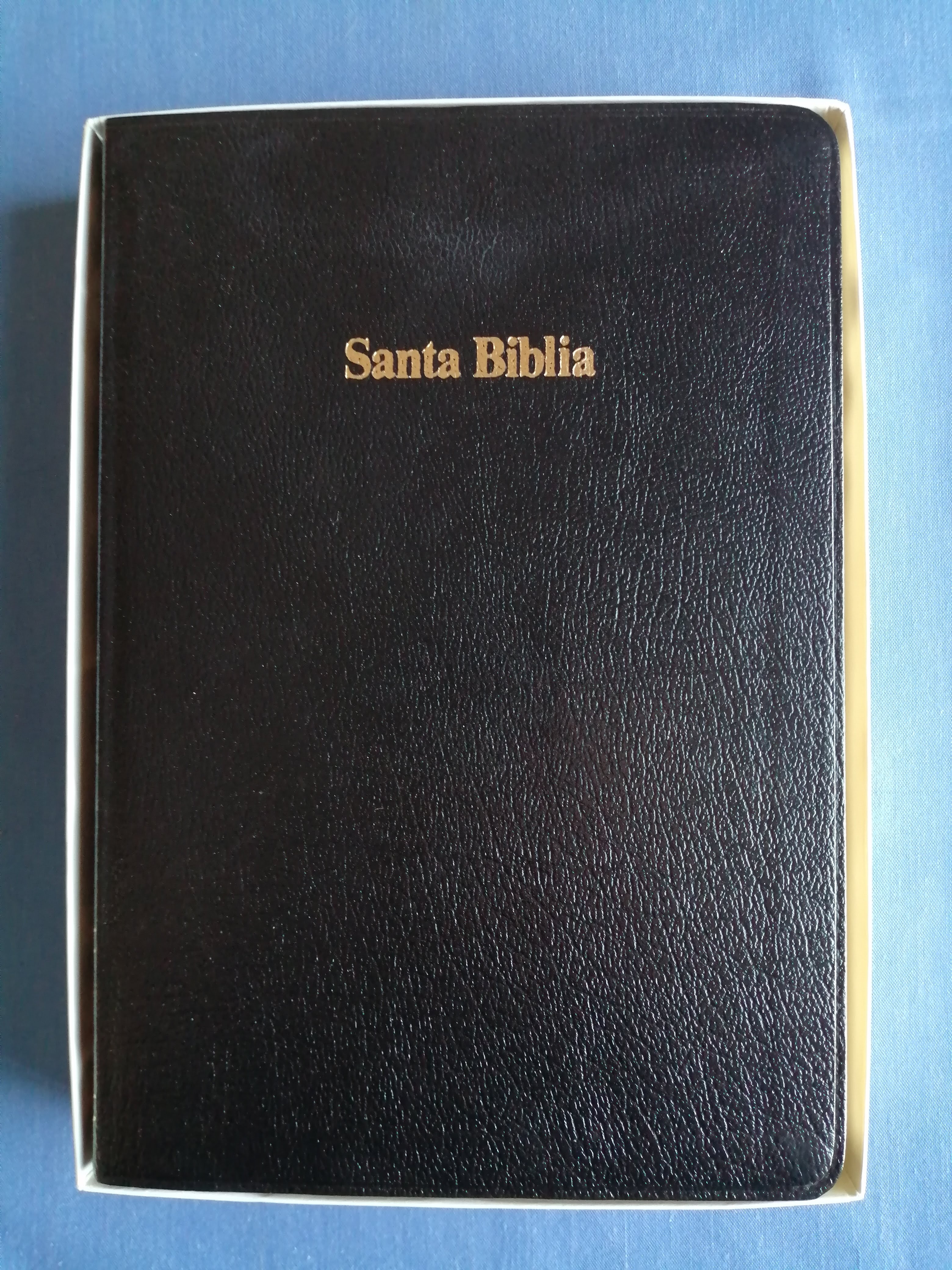 La Santa Biblia : Antiguo y Nuevo Testamento : versión Reina-Valera, revisión 1960 : edición letra grande