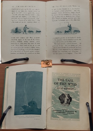 Jack London Call Of The Wild CALL OF THE WILD by LONDON, Jack: Good Hardcover (1903) 1st Edition