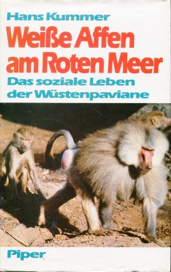 Weisse Affen am Roten Meer. Das soziale Leben der Wüstenpaviane. - Kummer, Hans