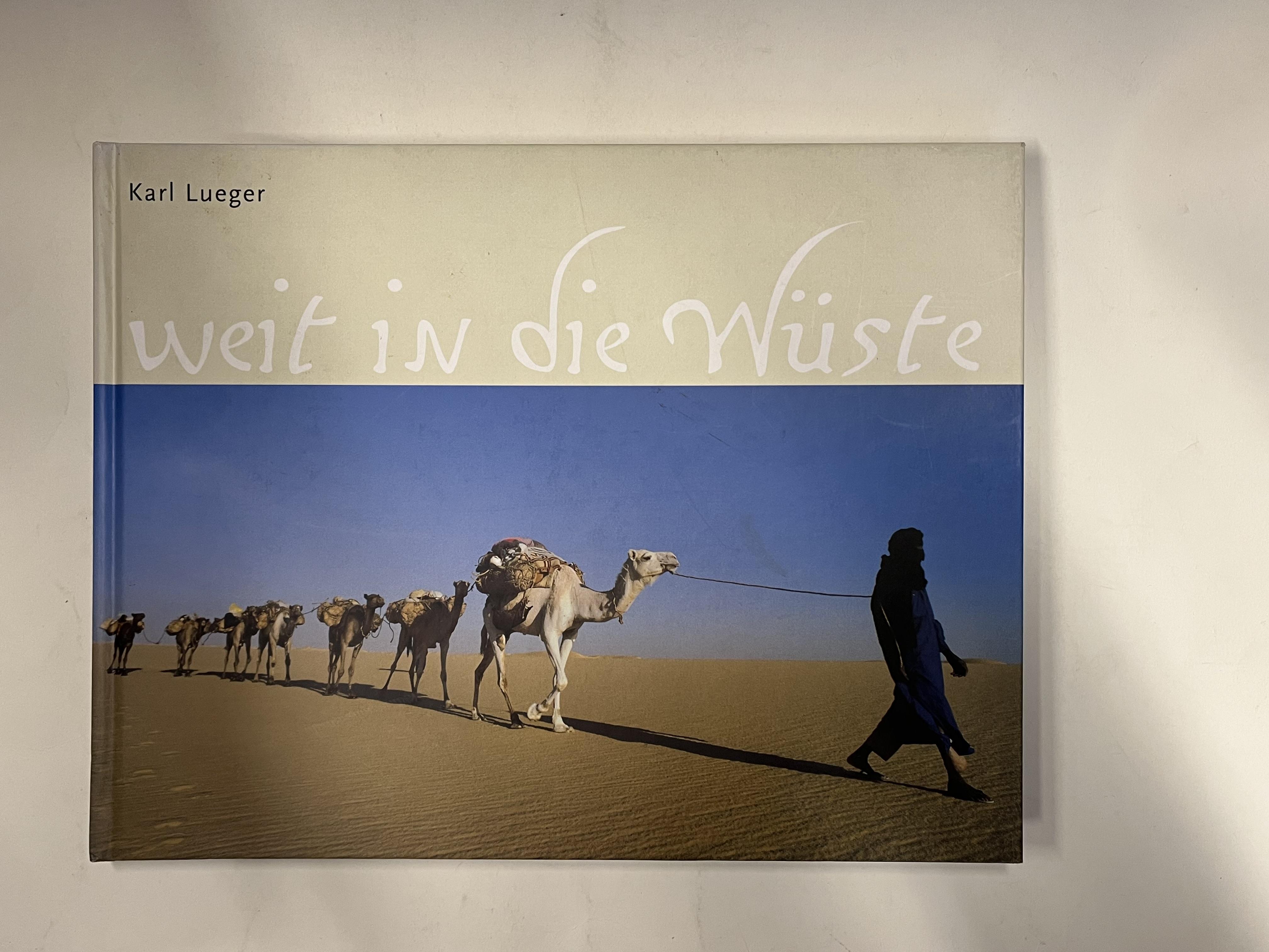 Weit in die Wüste. - Lueger, Karl