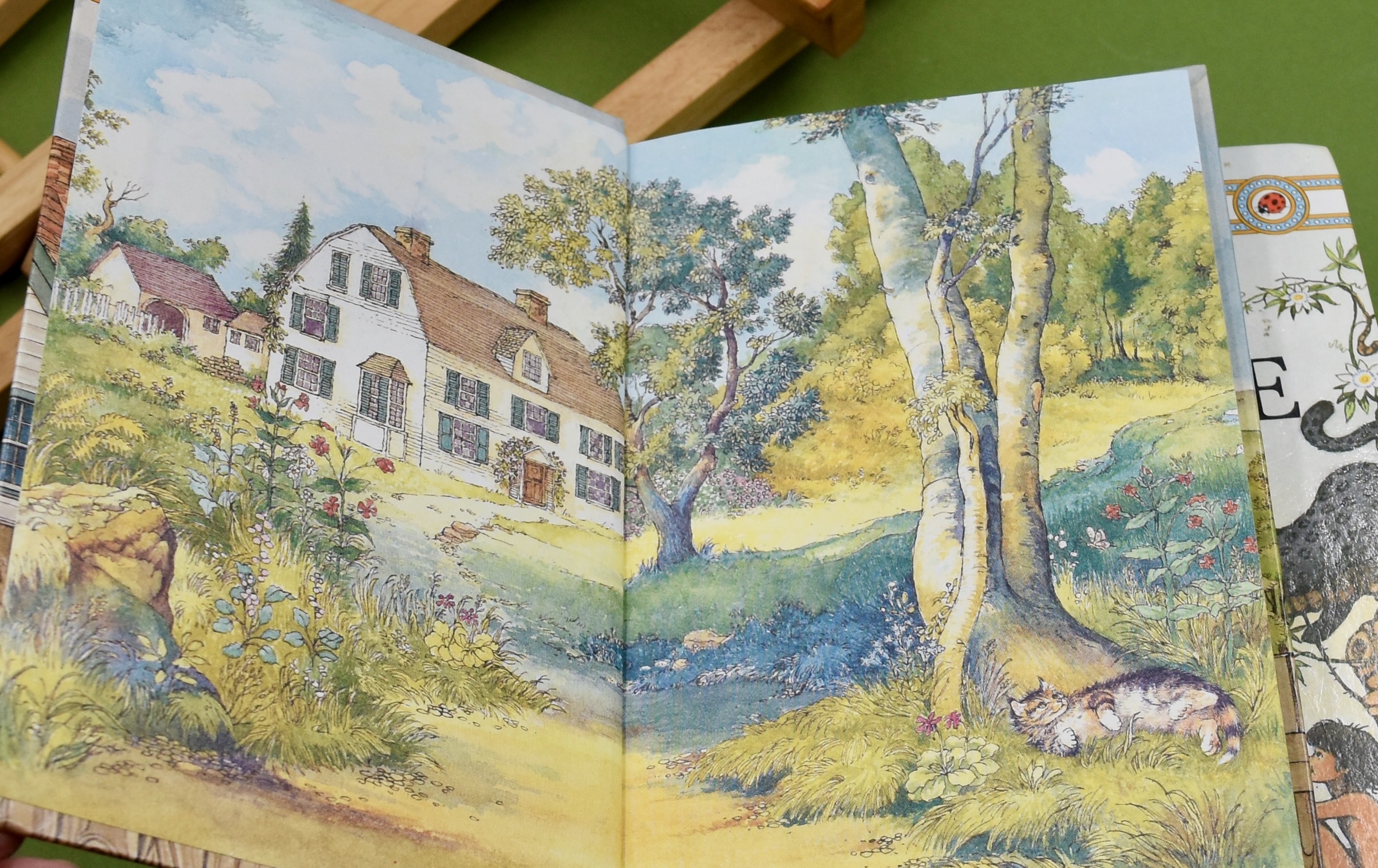 Ten Volumes in the 'Ladybird Children's Classics' series by