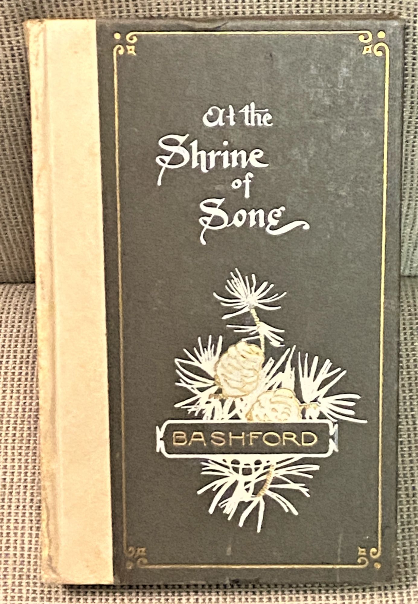 At the Shrine of Song - Herbert Bashford; George Wharton James (introduction)