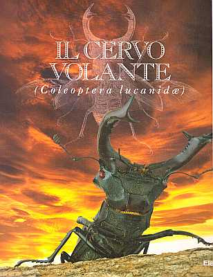 アート・デザイン・音楽 IL CERVo VOLANTE (Coleoptera lucanidae) Il Cervo Volante (Coleoptera Lucanidae) by Taroni, G.: (1998 アート・デザイン・音楽