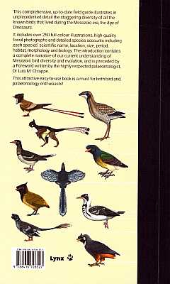 Birds Of The Mesozoic: An Illustrated Field Guide - Guida Illustrata Agli Uccelli Preistorici - Foto 2